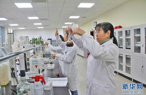 聚焦高質(zhì)量發(fā)展 信息科技領(lǐng)域的技術(shù)開(kāi)發(fā)與“傻瓜肥”式新質(zhì)生產(chǎn)力